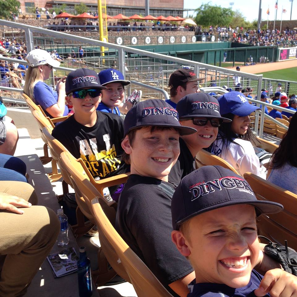 Team Dinger Youth Baseball